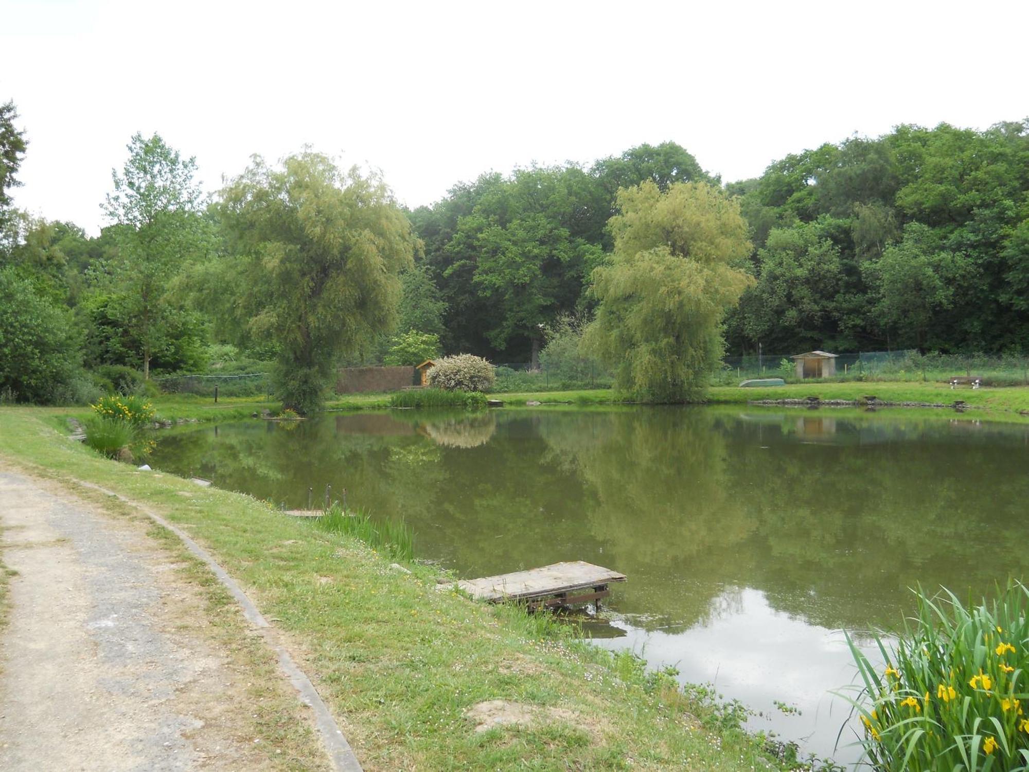Le Relais De La Haute Sambre Lobbes Exterior foto